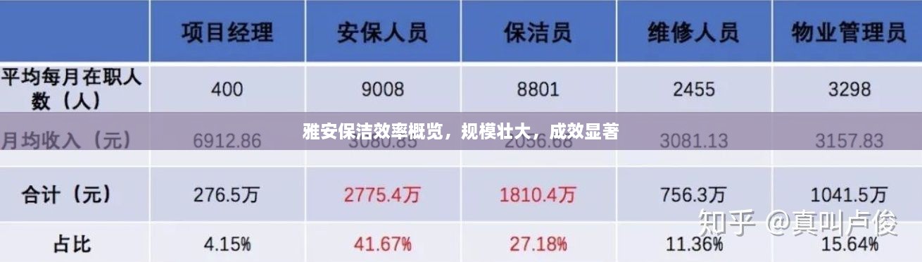 雅安保洁效率概览，规模壮大，成效显著
