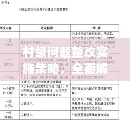 村级问题整改实施策略，全面解决方案，确保落实执行！