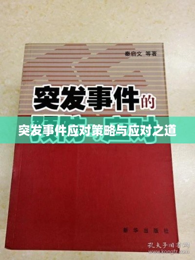 突发事件应对策略与应对之道