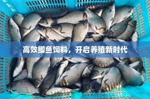 高效鲫鱼饲料，开启养殖新时代
