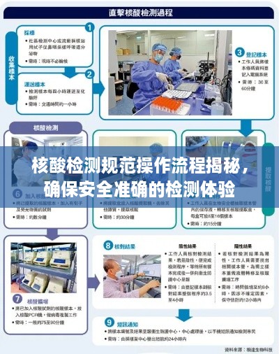 核酸检测规范操作流程揭秘，确保安全准确的检测体验