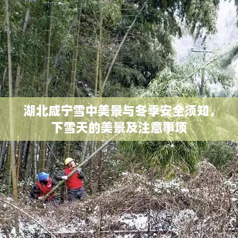 湖北咸宁雪中美景与冬季安全须知，下雪天的美景及注意事项