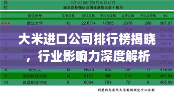大米进口公司排行榜揭晓，行业影响力深度解析