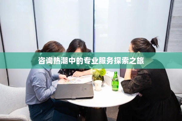 咨询热潮中的专业服务探索之旅