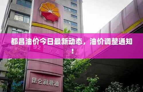 都昌油价今日最新动态，油价调整通知！