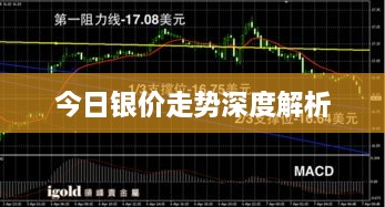 今日银价走势深度解析