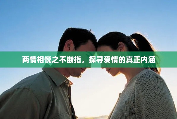 两情相悦之不断指，探寻爱情的真正内涵