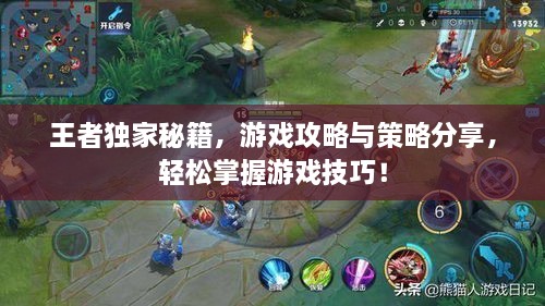 王者独家秘籍，游戏攻略与策略分享，轻松掌握游戏技巧！