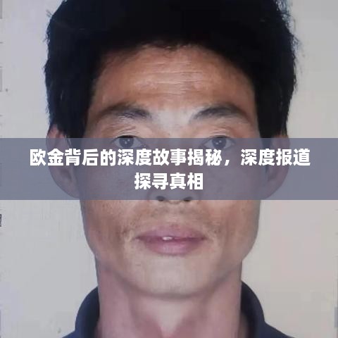 欧金背后的深度故事揭秘，深度报道探寻真相