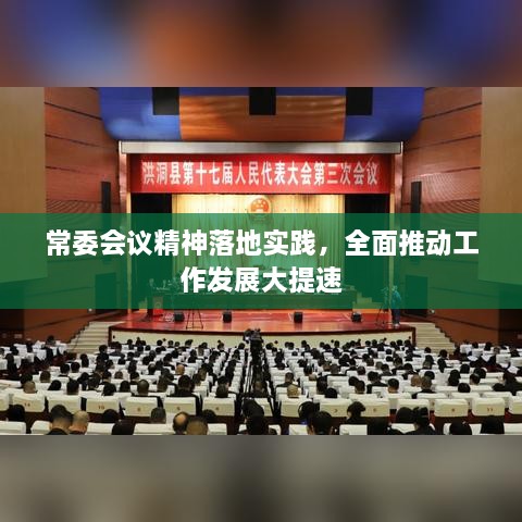 常委会议精神落地实践，全面推动工作发展大提速