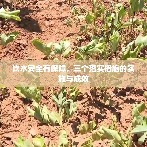 饮水安全有保障，三个落实措施的实施与成效