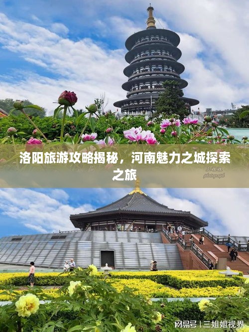 洛阳旅游攻略揭秘，河南魅力之城探索之旅