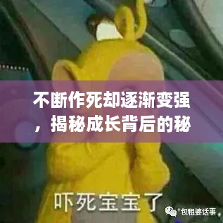 不断作死却逐渐变强，揭秘成长背后的秘密力量