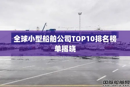 全球小型船舶公司TOP10排名榜单揭晓