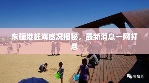 东疆港赶海盛况揭秘，最新消息一网打尽
