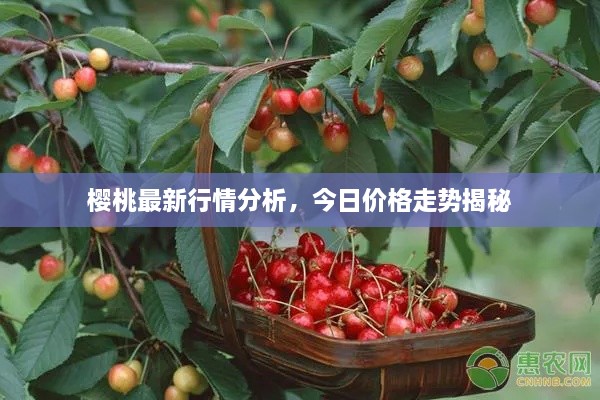 展翅高飞 第2页