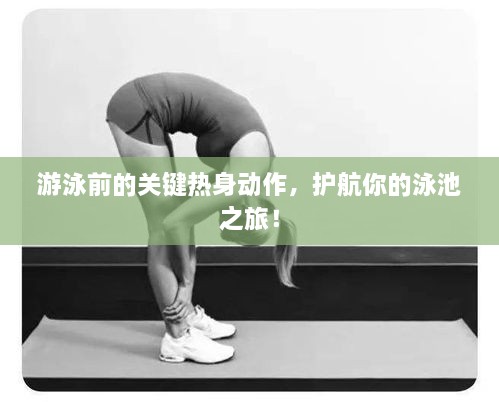 游泳前的关键热身动作，护航你的泳池之旅！