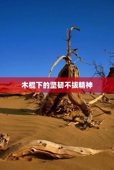 木棍下的坚韧不拔精神