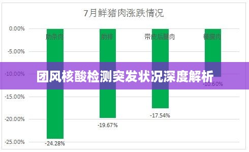 团风核酸检测突发状况深度解析