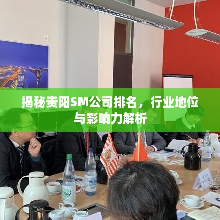 揭秘贵阳SM公司排名，行业地位与影响力解析