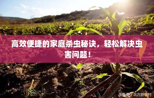 高效便捷的家庭杀虫秘诀，轻松解决虫害问题！