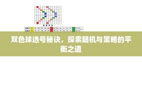 双色球选号秘诀，探索随机与策略的平衡之道