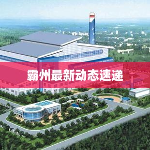 霸州最新动态速递