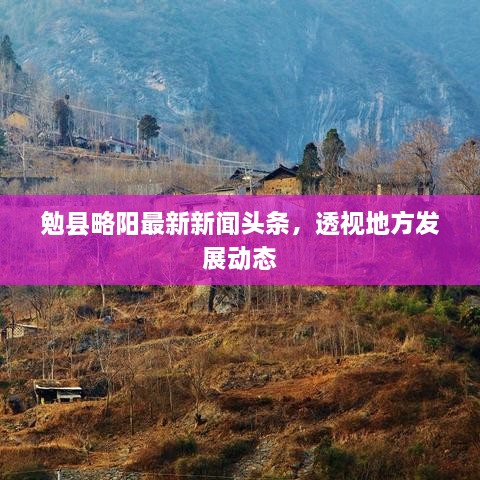勉县略阳最新新闻头条，透视地方发展动态