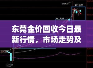 东莞金价回收今日最新行情，市场走势及影响因素深度解析