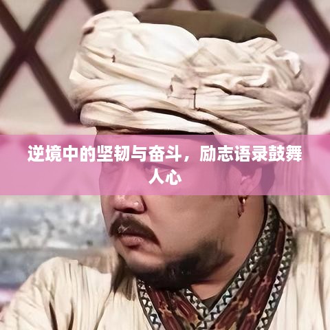 逆境中的坚韧与奋斗，励志语录鼓舞人心