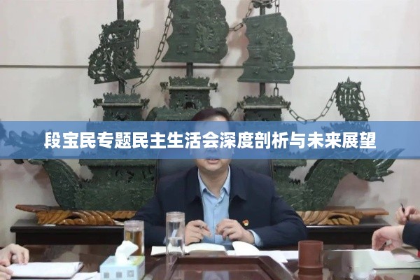 段宝民专题民主生活会深度剖析与未来展望