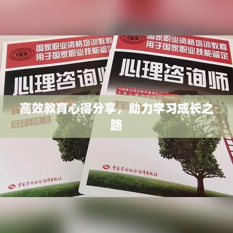 高效教育心得分享，助力学习成长之路