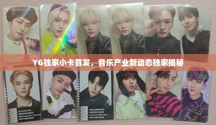 YG独家小卡首发，音乐产业新动态独家揭秘