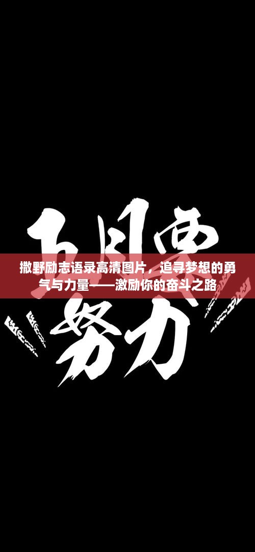 撒野励志语录高清图片，追寻梦想的勇气与力量——激励你的奋斗之路