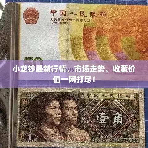 小龙钞最新行情，市场走势、收藏价值一网打尽！