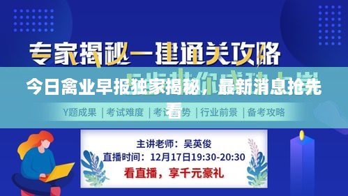 今日禽业早报独家揭秘，最新消息抢先看