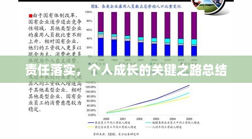 责任落实，个人成长的关键之路总结