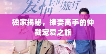 独家揭秘，撩妻高手的仲裁宠爱之旅