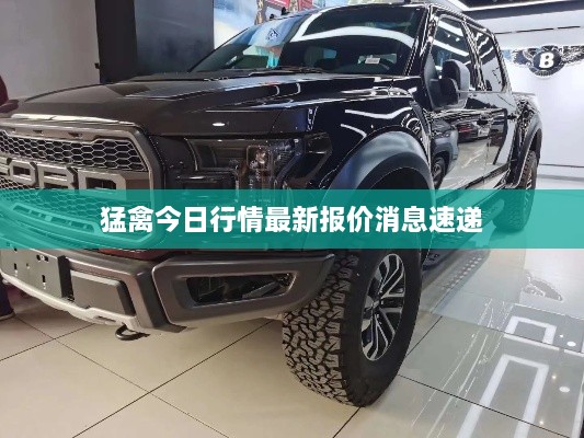 猛禽今日行情最新报价消息速递