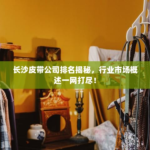 长沙皮带公司排名揭秘，行业市场概述一网打尽！