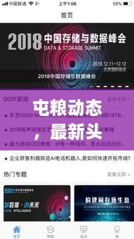 屯粮动态，最新头条新闻一网打尽