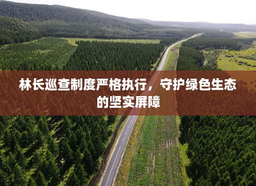 林长巡查制度严格执行，守护绿色生态的坚实屏障