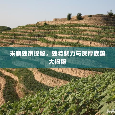 米脂独家探秘，独特魅力与深厚底蕴大揭秘
