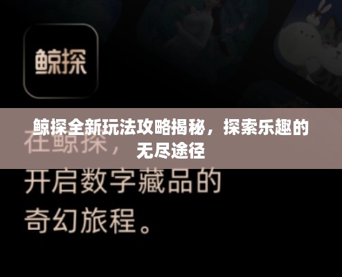 鲸探全新玩法攻略揭秘，探索乐趣的无尽途径