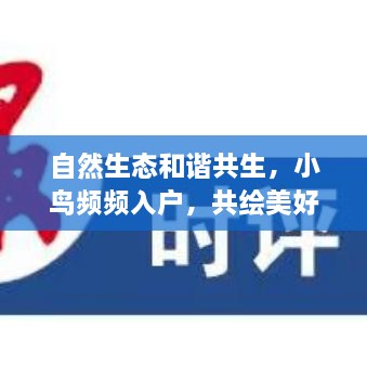 自然生态和谐共生，小鸟频频入户，共绘美好画卷