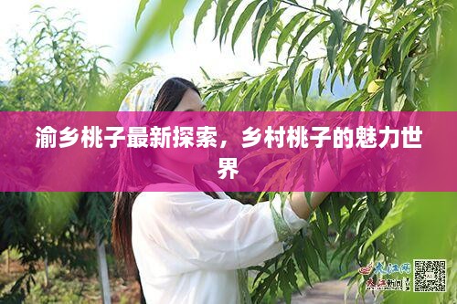 渝乡桃子最新探索，乡村桃子的魅力世界