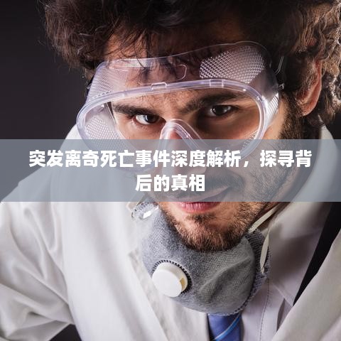 突发离奇死亡事件深度解析，探寻背后的真相