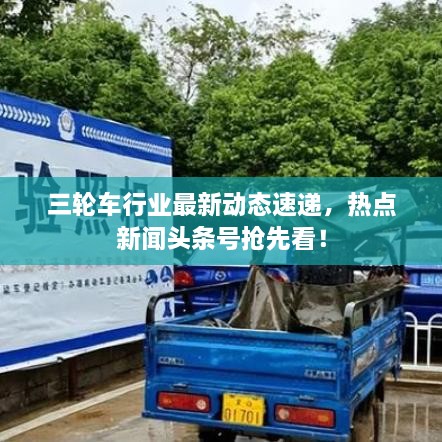 三轮车行业最新动态速递，热点新闻头条号抢先看！
