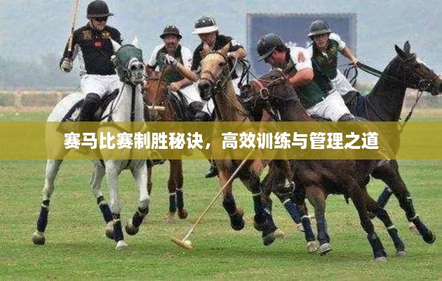 赛马比赛制胜秘诀，高效训练与管理之道
