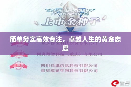 简单务实高效专注，卓越人生的黄金态度